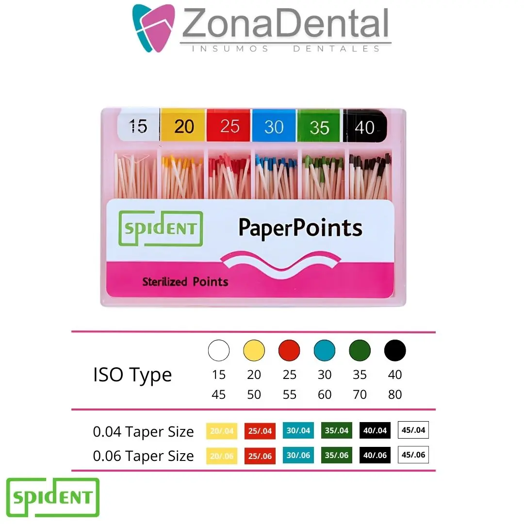 CONOS DE PAPEL SPIDENT